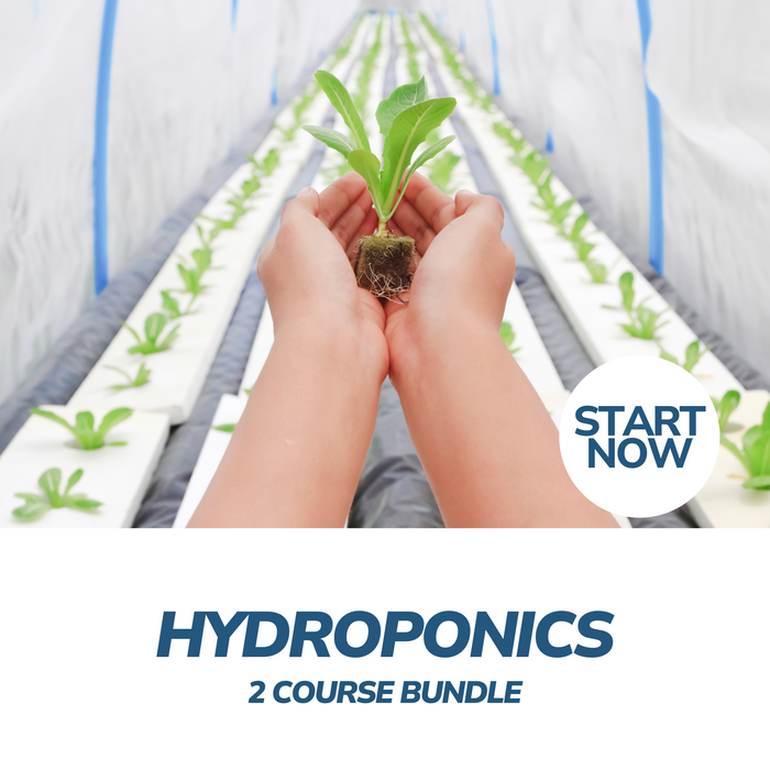 Hydroponics Online Bundle, 2 Certificate Courses