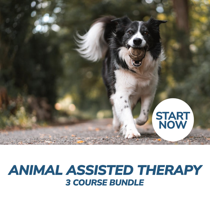 Animal Assisted Therapy Online Bundle, 3 Certificate Courses