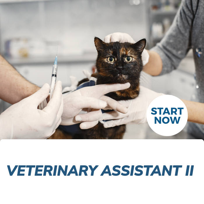 Veterinary Assistant II Online Certificate Course