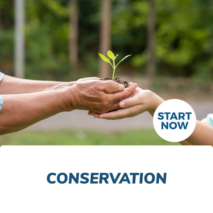 Conservation Online Certificate Course