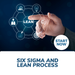 Six Sigma and Lean Process Online Certificate Course