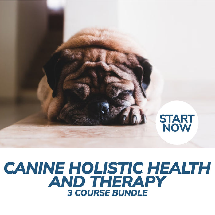 Canine Holistic Health and Therapy Online Bundle, 3 Certificate Courses