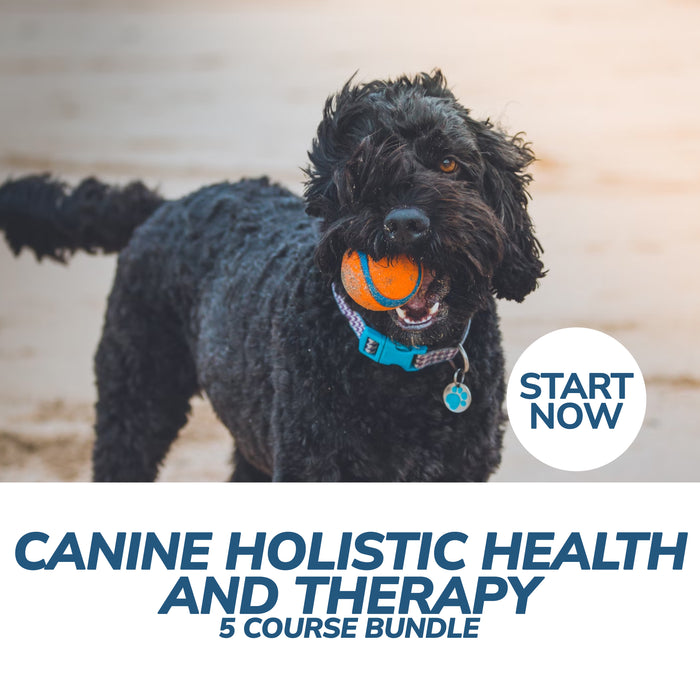 Canine Holistic Health and Therapy Online Bundle, 5 Certificate Courses