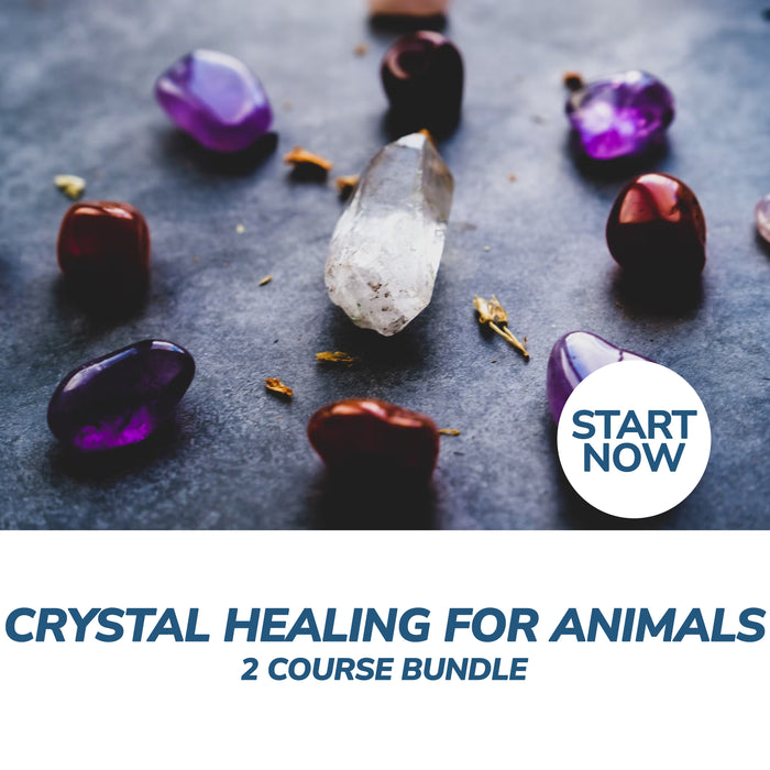 Crystal Healing for Animals Online Bundle, 2 Certificate Courses
