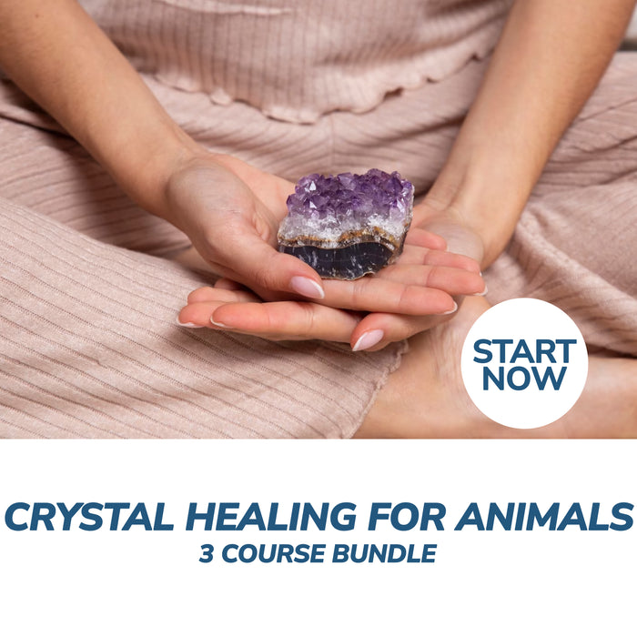 Crystal Healing for Animals Online Bundle, 3 Certificate Courses