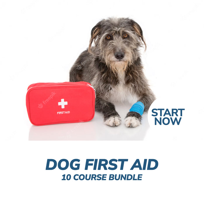 Ultimate Dog First Aid Online Bundle, 10 Certificate Courses