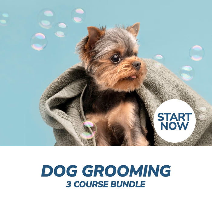 Dog Grooming Professional Online Bundle, 3 Certificate Courses
