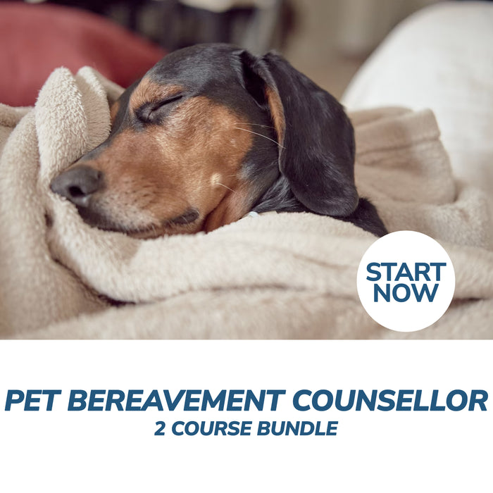 Pet Bereavement Counsellor Bundle Online, 2 Certificate Courses