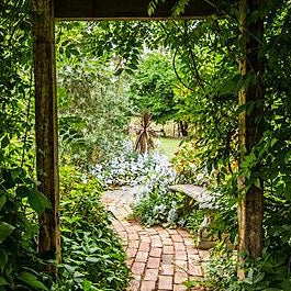 Best Online Gardening Courses