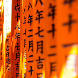 How To Learn Japanese On Your Own