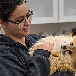 How Much Do Vets Make A Year?