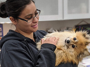 How Much Do Vets Make A Year?