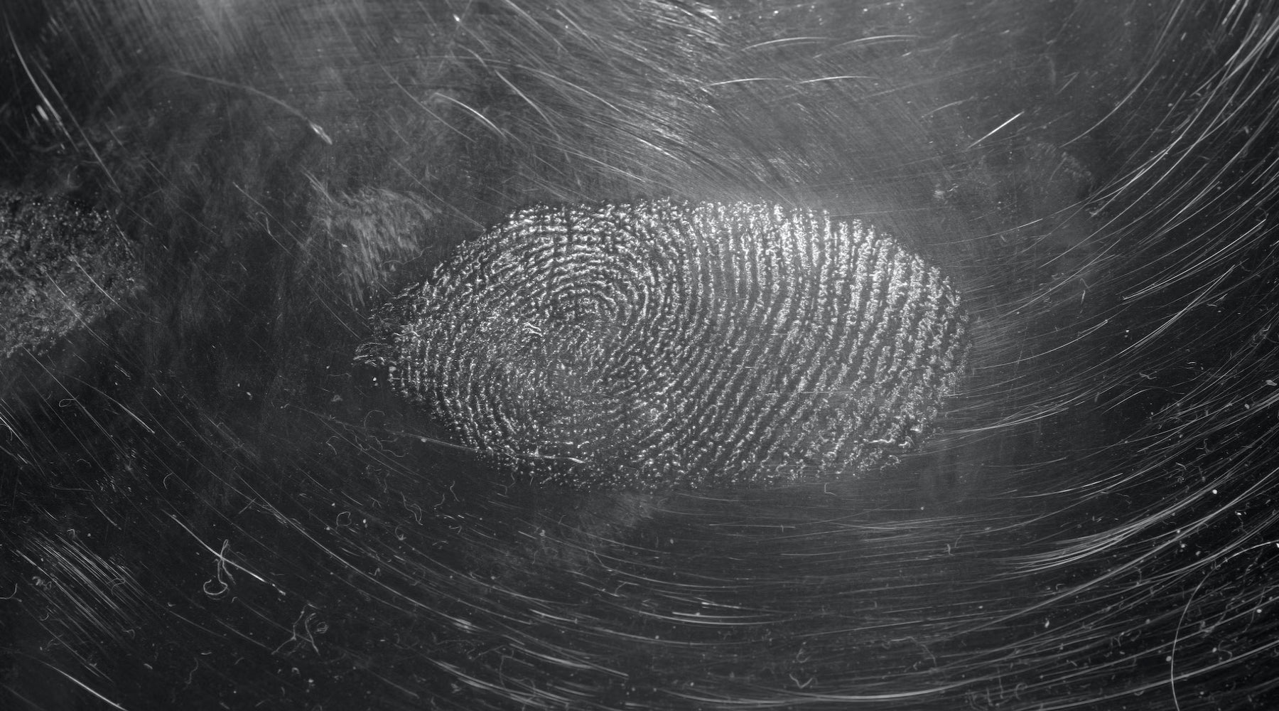 What Is Forensic Psychology?