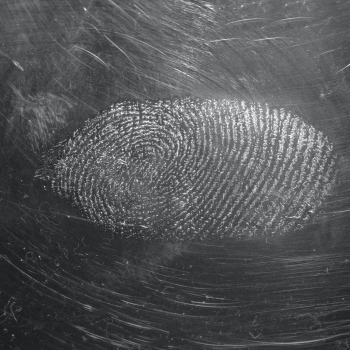 What Is Forensic Psychology?