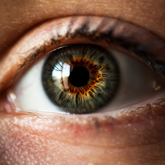 What Is Iridology And What Does An Iridologist Do?