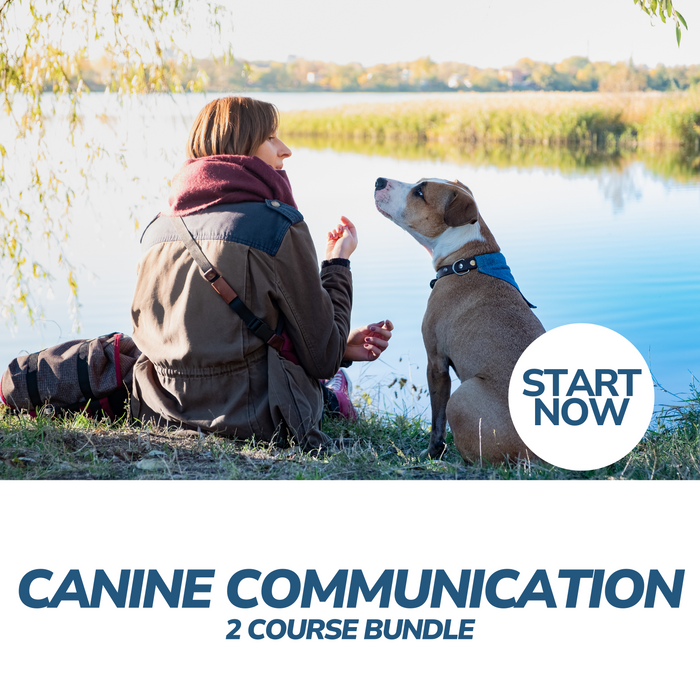 Canine Communication Online Bundle, 2 Certificate Courses