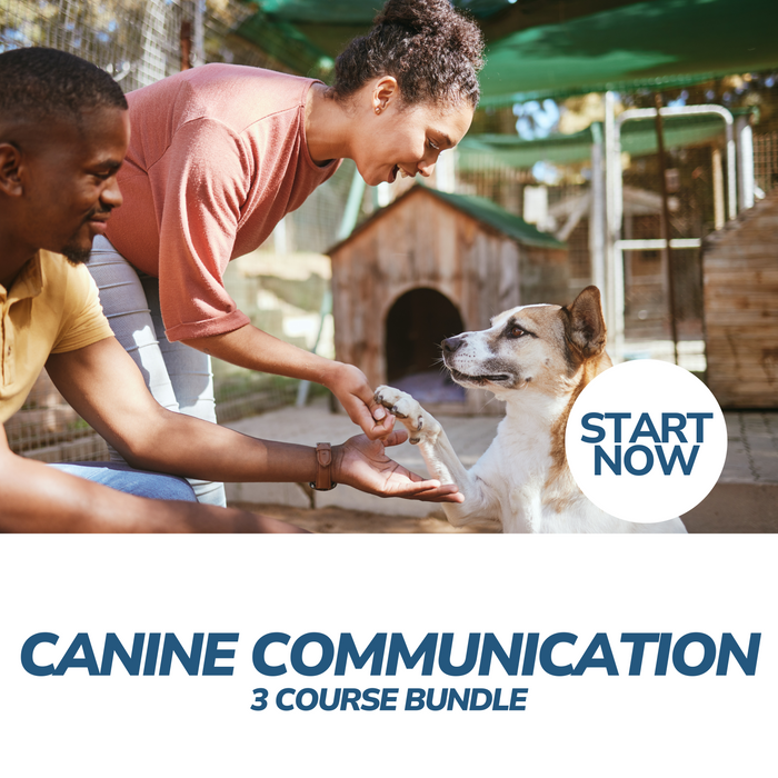 Canine Communication Online Bundle, 3 Certificate Courses