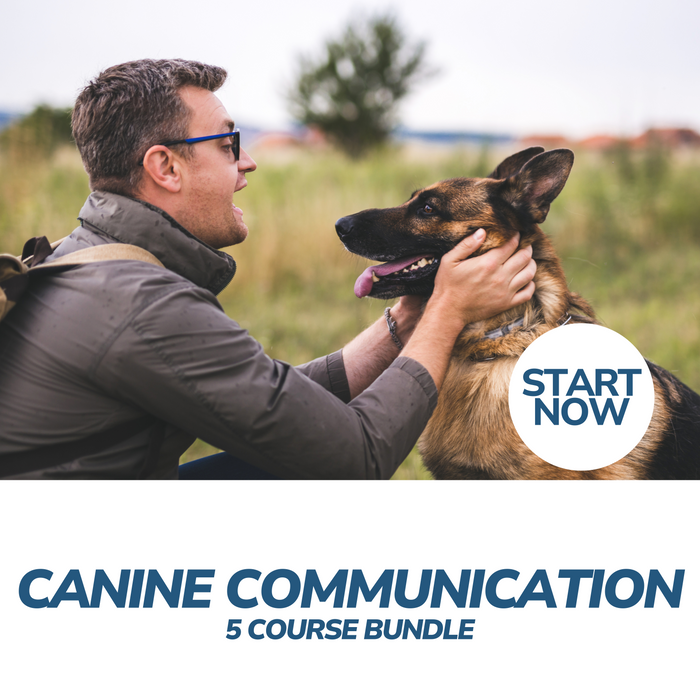 Canine Communication Online Bundle, 5 Certificate Courses