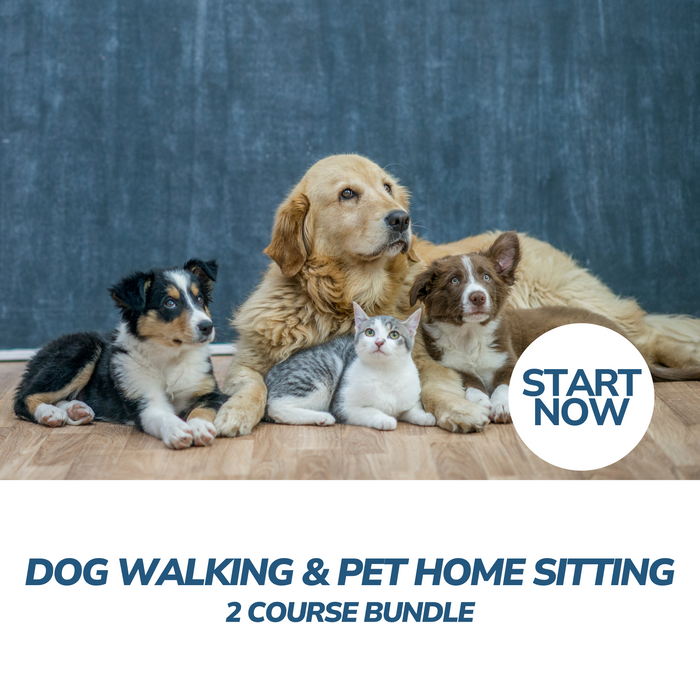 Dog Walking and Pet Home Sitting Professional Online Bundle, 2 Certificate Courses
