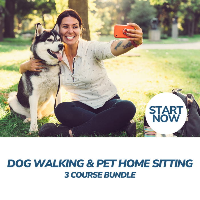 Dog Walking and Pet Home Sitting Professional Online Bundle, 3 Certificate Courses