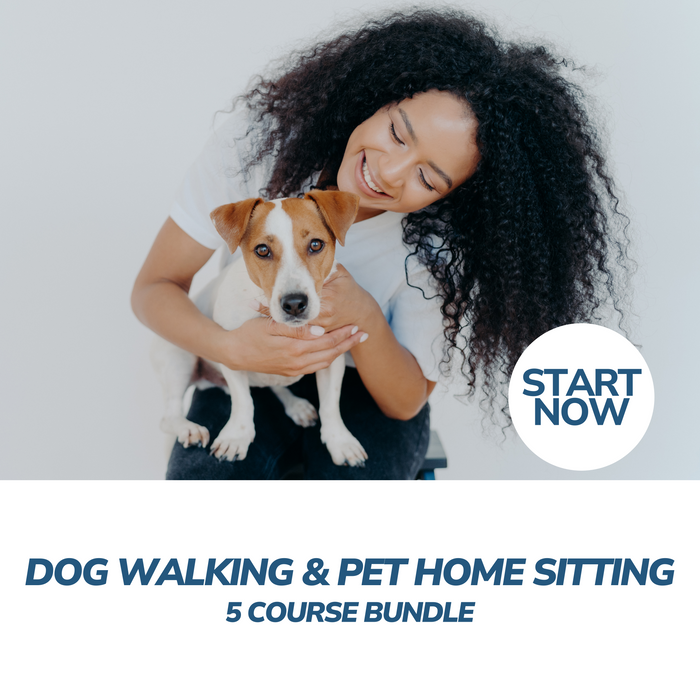 Dog Walking and Pet Home Sitting Professional Online Bundle, 5 Certificate Courses