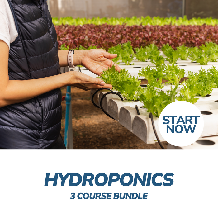 Hydroponics Online Bundle, 3 Certificate Courses