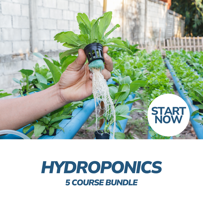 Hydroponics Online Bundle, 5 Certificate Courses
