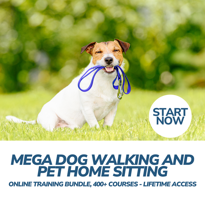 Mega Dog Walking and Pet Home Sitting Online Training Bundle, 400+ Courses - Lifetime Access