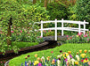 Garden Maintenance Online Certificate Course