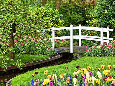 Garden Maintenance Online Certificate Course