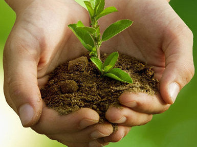 Organic Gardening Online Bundle, 3 Certificate Courses