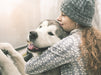 Dog Behaviour Training Online Bundle, 5 Certificate Courses