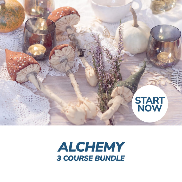 Alchemy Online Bundle, 3 Certificate Courses