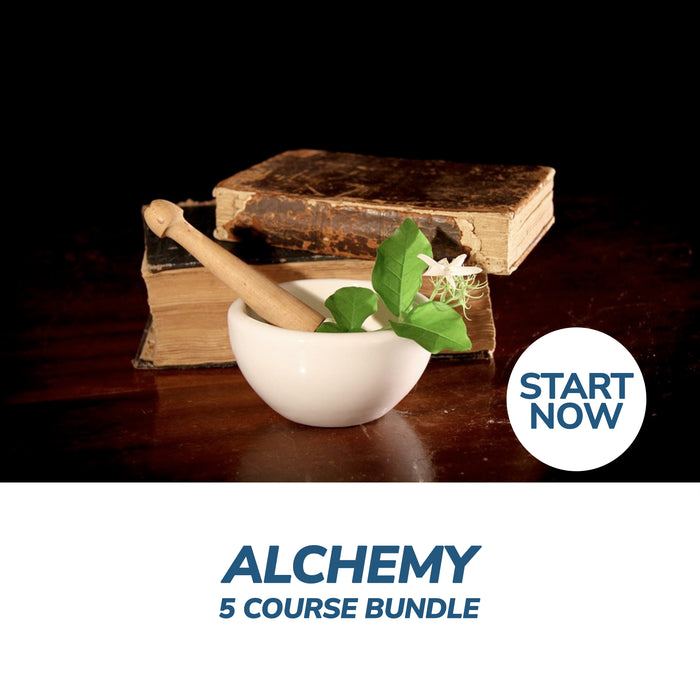 Alchemy Online Bundle, 5 Certificate Courses