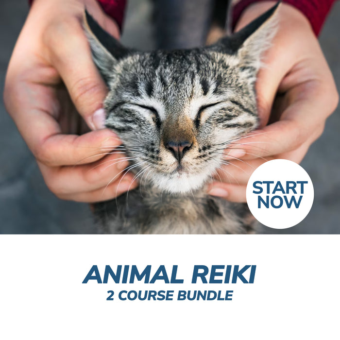 Animal Reiki Online Bundle, 2 Certificate Courses