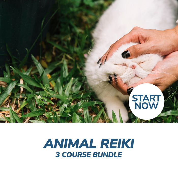Animal Reiki Online Bundle, 3 Certificate Courses