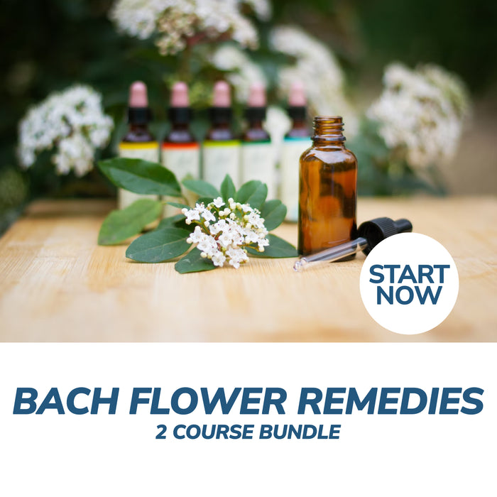 Bach Flower Remedies Online Bundle, 2 Certificate Courses