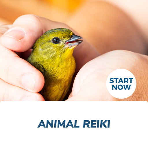 Animal Reiki Online Certificate Course