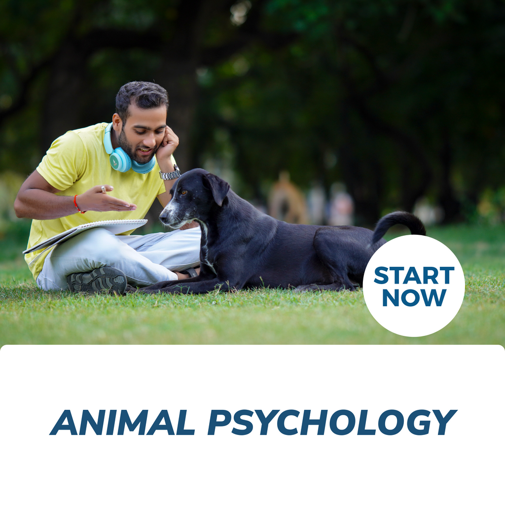 Animal Care Courses — Courses For Success