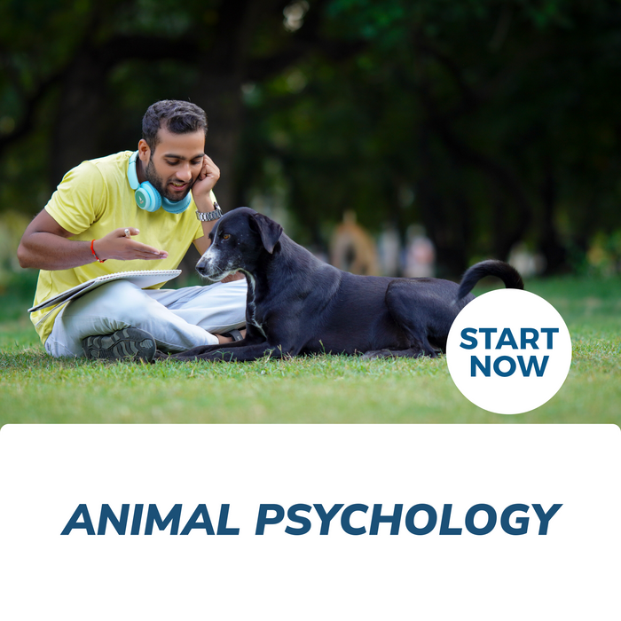 Animal Psychology Online Certificate Course