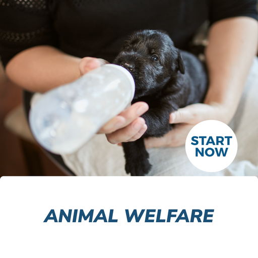 Animal Welfare Online Certificate Course