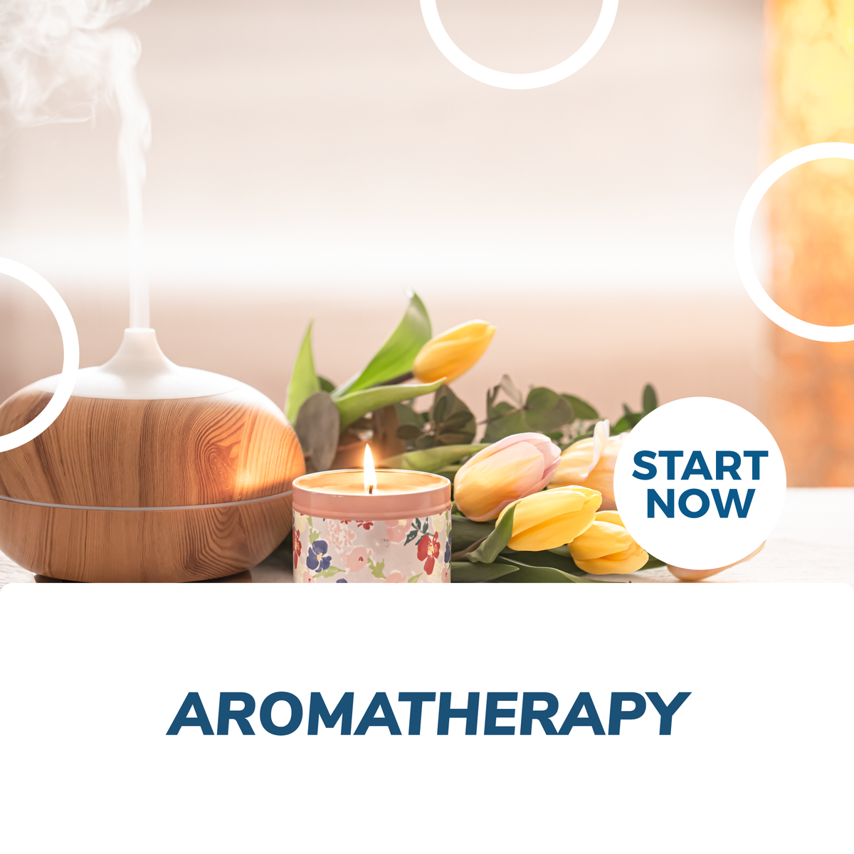 Aromatherapy Certification Course Online — Courses For Success