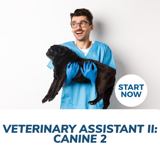 Becoming a Veterinary Assistant II: Canine 2 Online Certificate Course