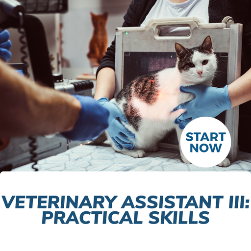 Becoming a Veterinary Assistant III: Practical Skills Online Certificate Course