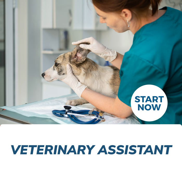 Veterinary Assistant Online Certificate Course