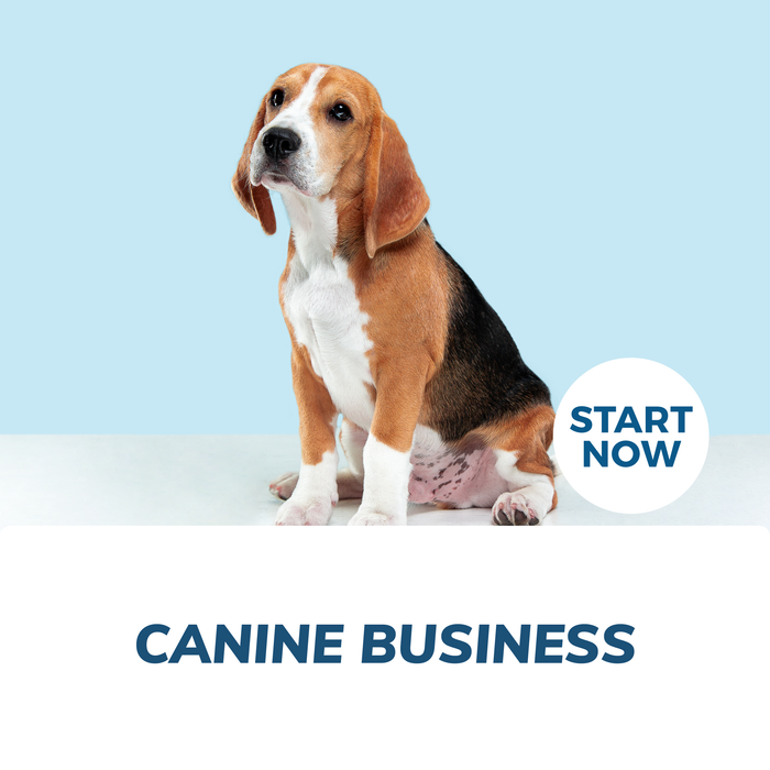 Canine Business Online Certificate Course