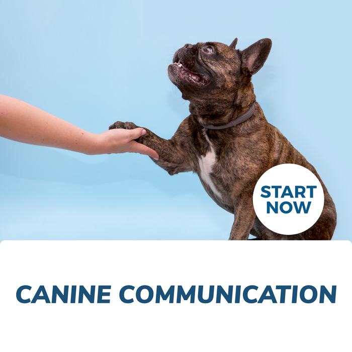 Canine Communication Online Certificate Course