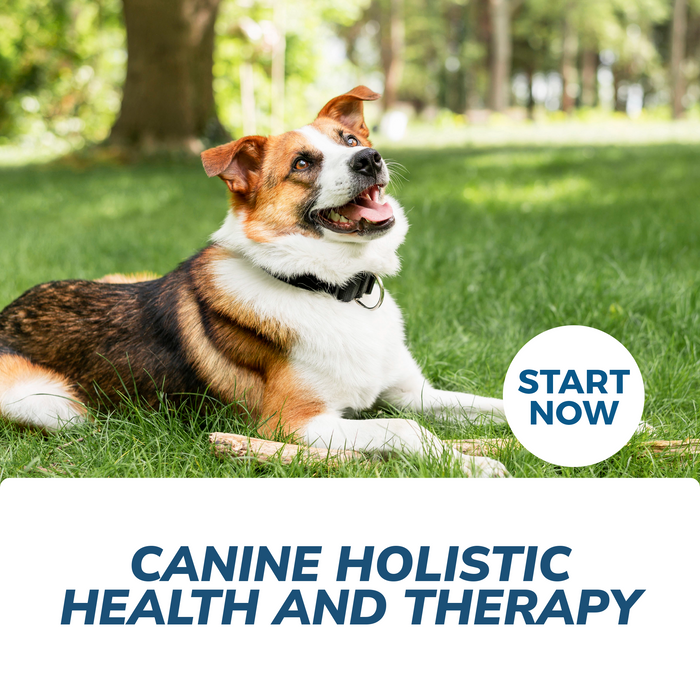 Canine Holistic Health and Therapy Online Certificate Course