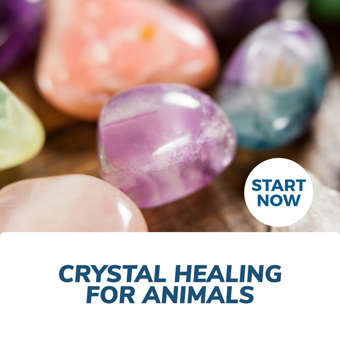 Crystal Healing for Animals Online Certificate Course