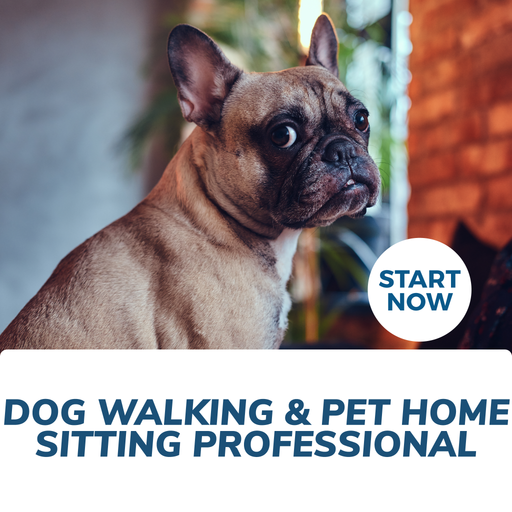 Dog Walking and Pet Home Sitting Professional Online Certificate Course